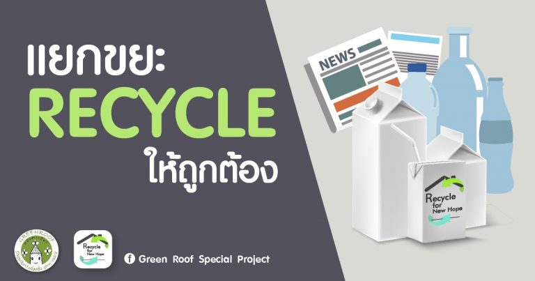 แยกขยะ Recycle ให้ถูกต้อง 